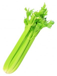 les-10-aliments-anti-cellulite-peau-d-orange-capitons-61241